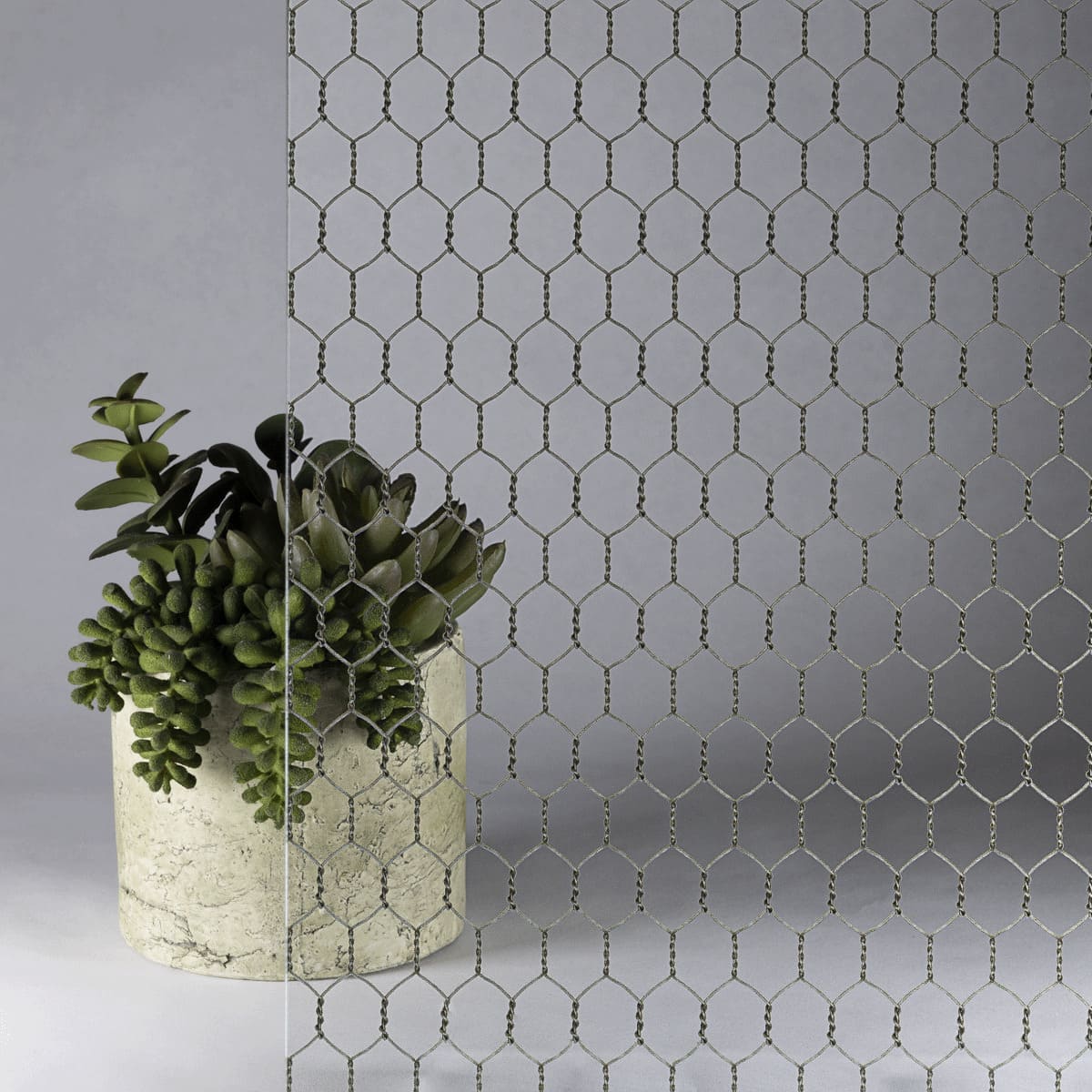 Printed Chicken Wire Glass