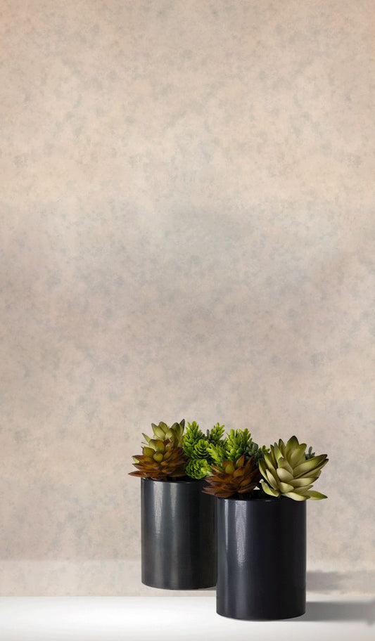 White Antique Mirror Pattern XII